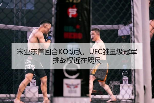 宋亚东首回合KO劲敌，UFC雏量级冠军挑战权近在咫尺